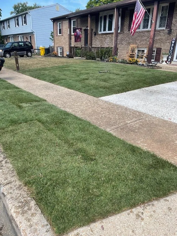 Custom landscape installation for residential properties in Davidsonville, MD by Baldwin Turf Solutions