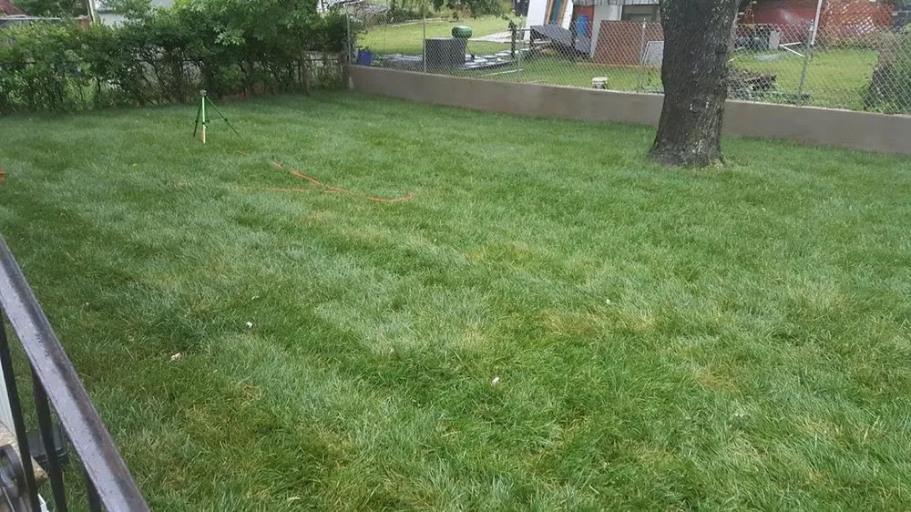 Reliable yard maintenance in Davidsonville, MD - Baldwin Turf Solutions