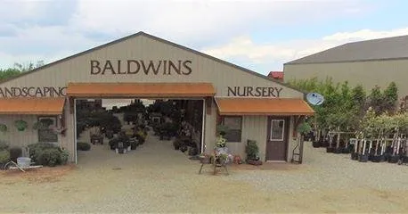 Top-rated yard cleanup service in Red Lodge, MT by Baldwin's Customized Landscaping