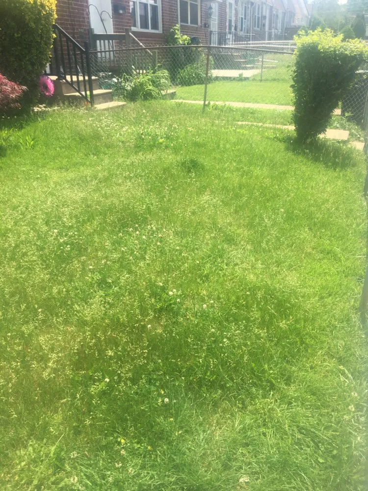 Custom lawn mowing service for outdoor upgrades across Marcus Hook, PA - Baldwin’s Lawn Care