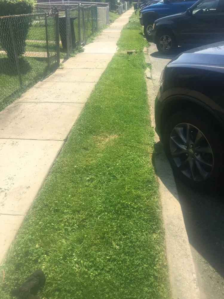 Professional landscaping services in Marcus Hook, PA - Baldwin’s Lawn Care