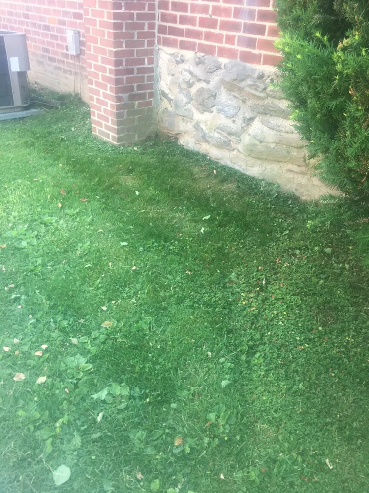 Top-rated lawn care service with custom design in Marcus Hook, PA by Baldwin’s Lawn Care