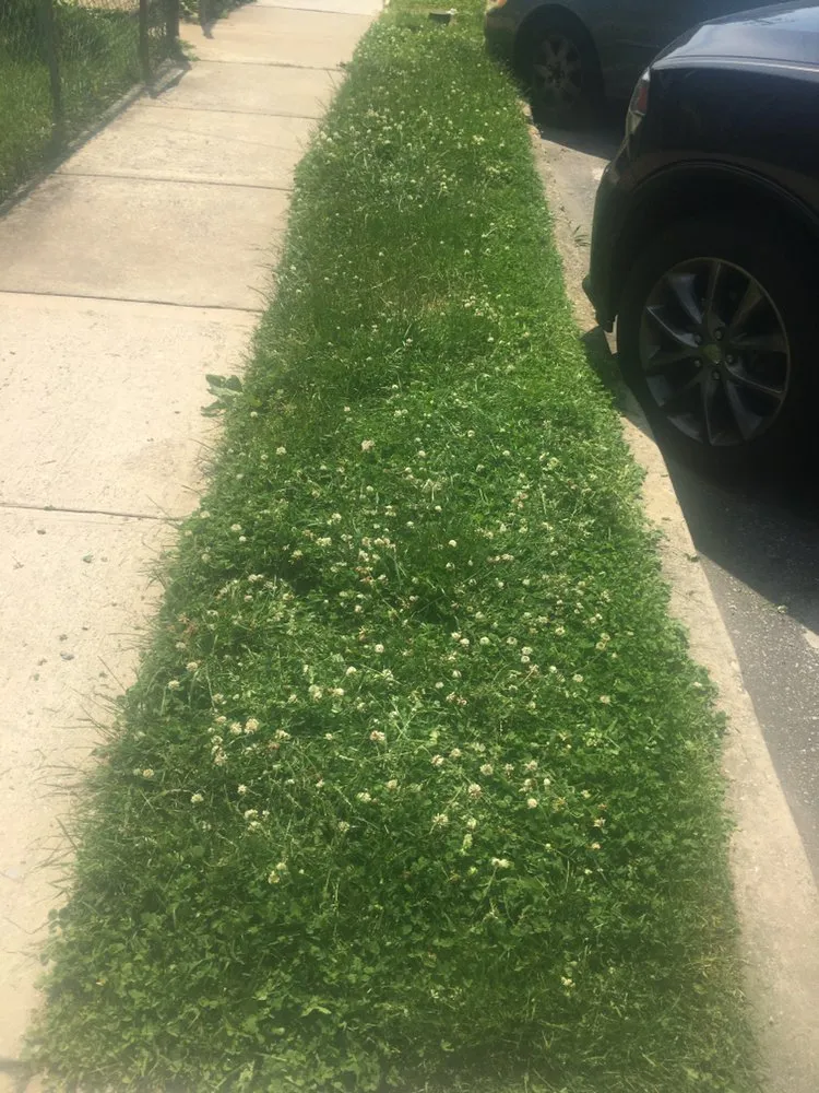 Professional yard maintenance in Marcus Hook, PA - Baldwin’s Lawn Care