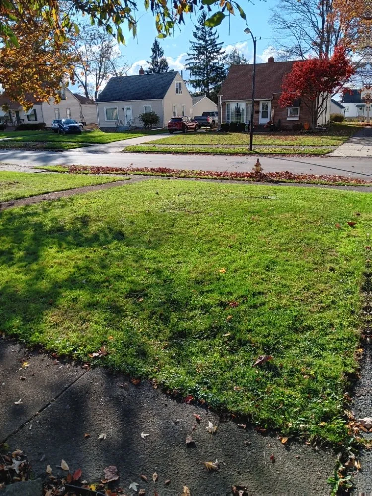 Reliable lawn mowing service in Warren, OH - Baldwin's Lawn Care Services