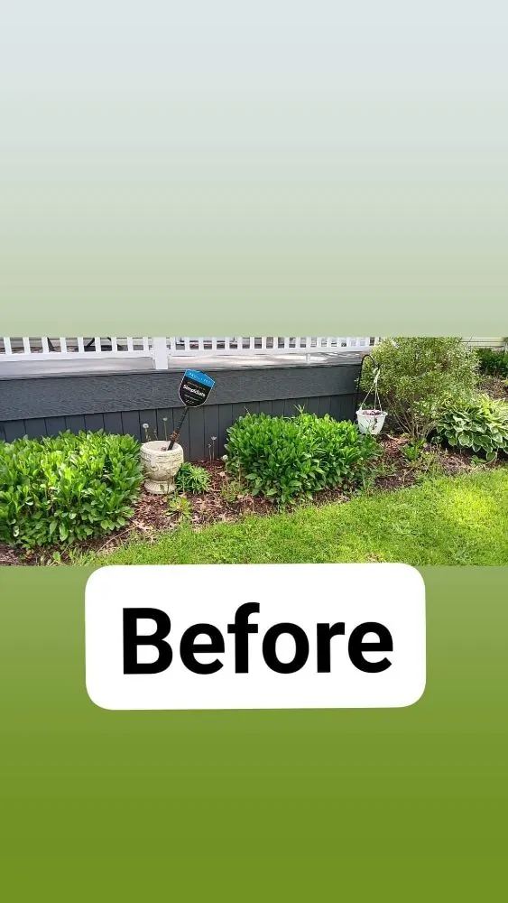 Top-rated landscape installation for year-round maintenance across Warren, OH - Baldwin's Lawn Care Services