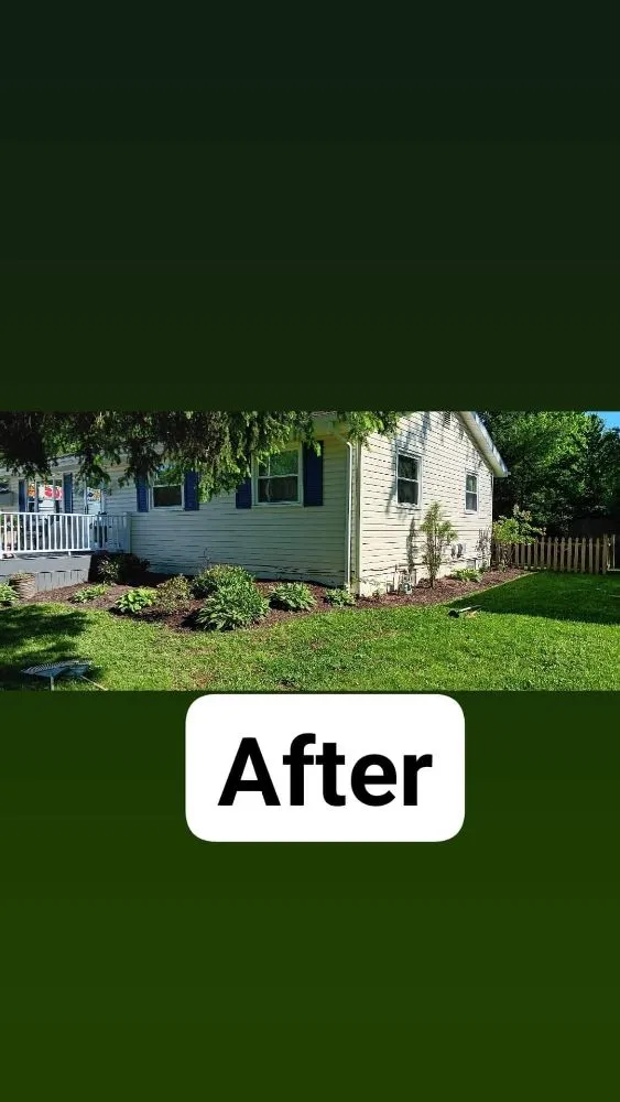 Local yard cleanup service for year-round maintenance in Warren, OH by Baldwin's Lawn Care Services