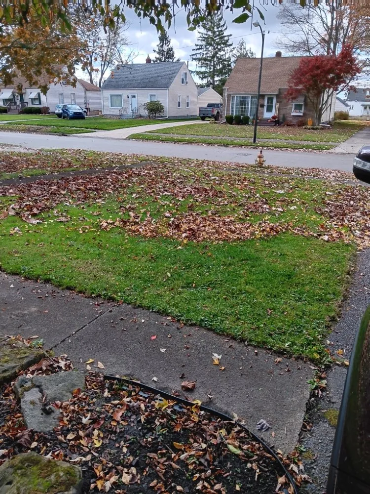 Reliable outdoor landscaping experts serving Warren, OH - Baldwin's Lawn Care Services