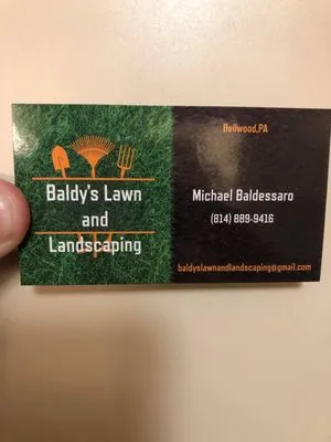 Baldys Lawn And Landscaping