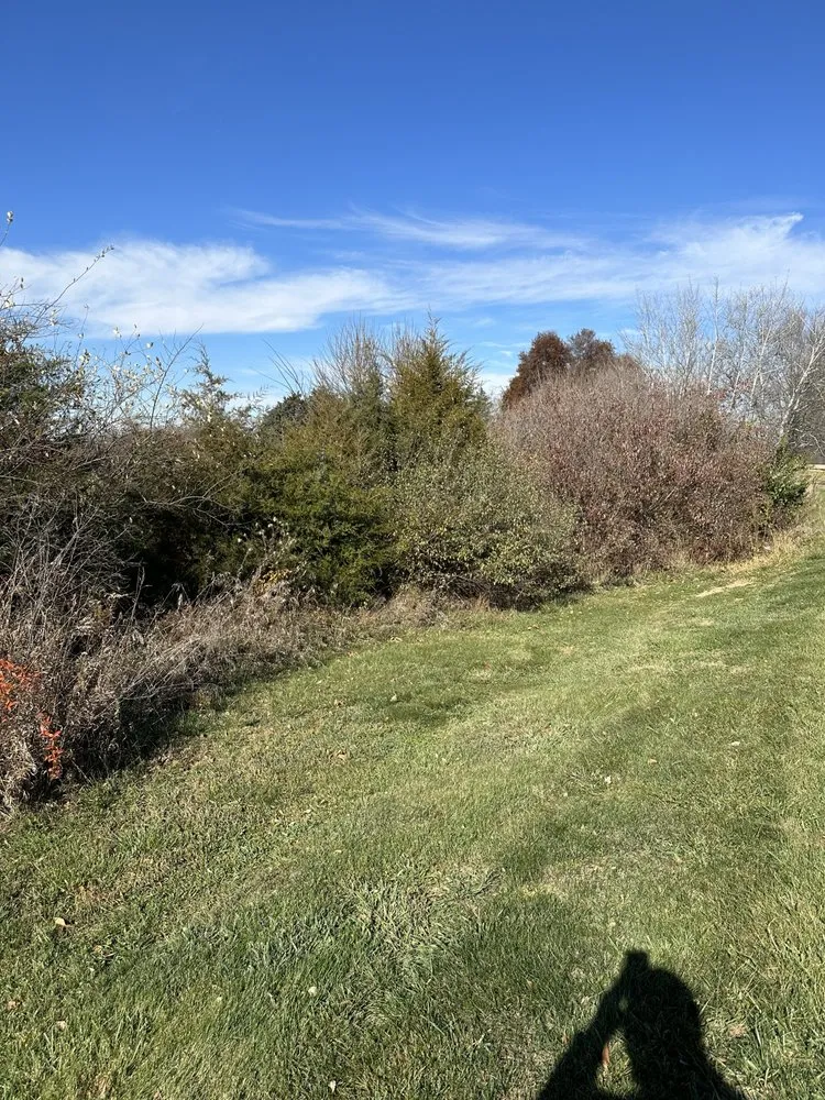 Reliable yard cleanup service experts serving Martinsville, IN - Bales Lawn Maintenance