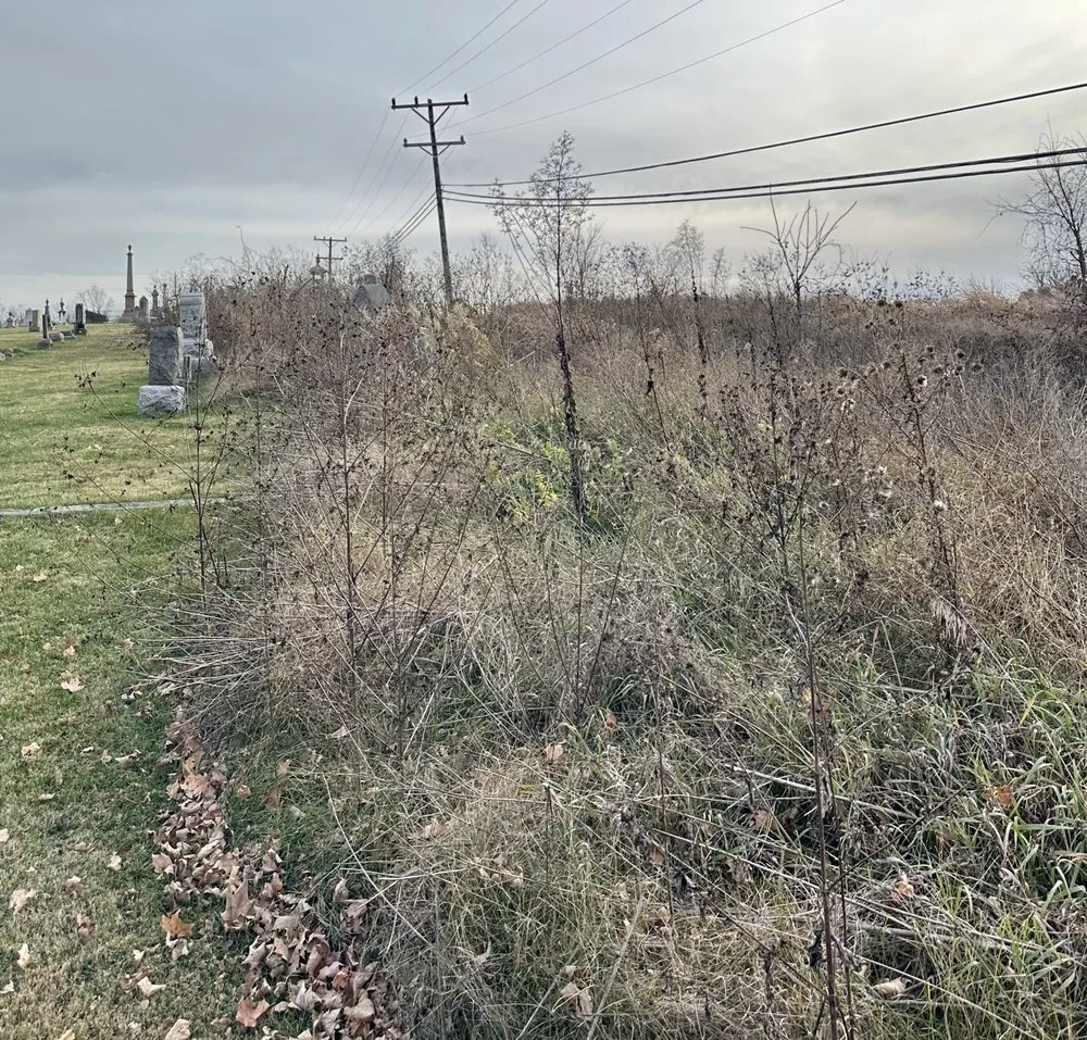 Professional landscaping services in Martinsville, IN by Bales Lawn Maintenance