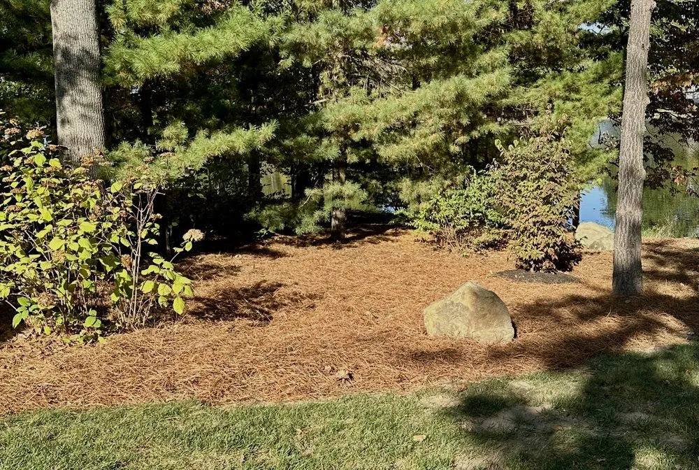 Top-rated residential landscaping in Martinsville, IN - Bales Lawn Maintenance