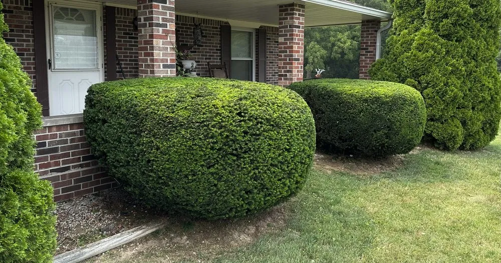 Affordable landscaping services in Martinsville, IN by Bales Lawn Maintenance