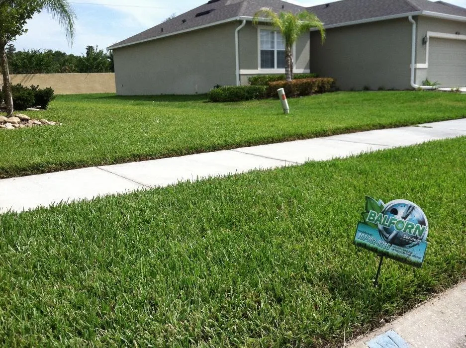 Custom lawn mowing service in Winter Garden, FL by Balforn