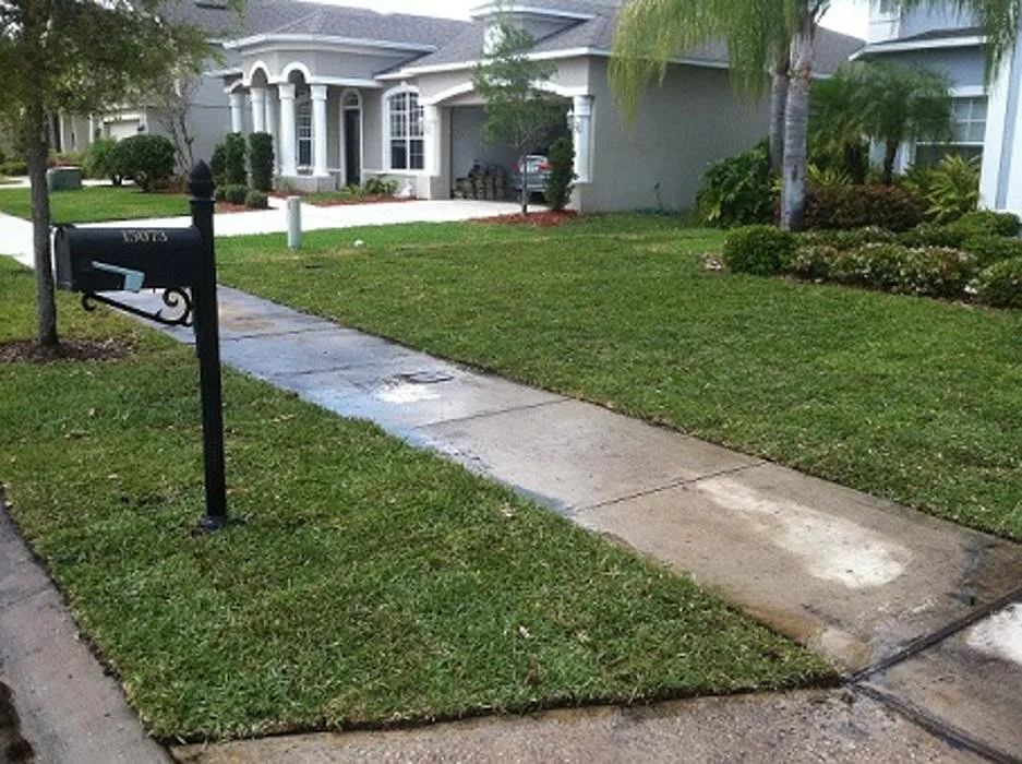 Expert landscape installation in Winter Garden, FL by Balforn
