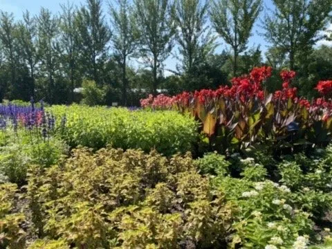 Professional yard cleanup service in West Chicago, IL - Ball Horticultural