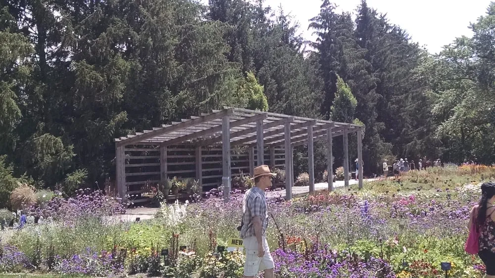 Top-rated lawn care service experts serving West Chicago, IL - Ball Horticultural