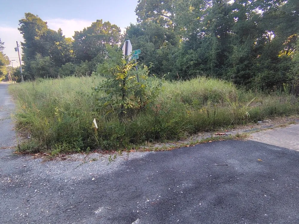 Expert yard cleanup service in Pine Bluff, AR by Balla Moving & Lawn Indulgence