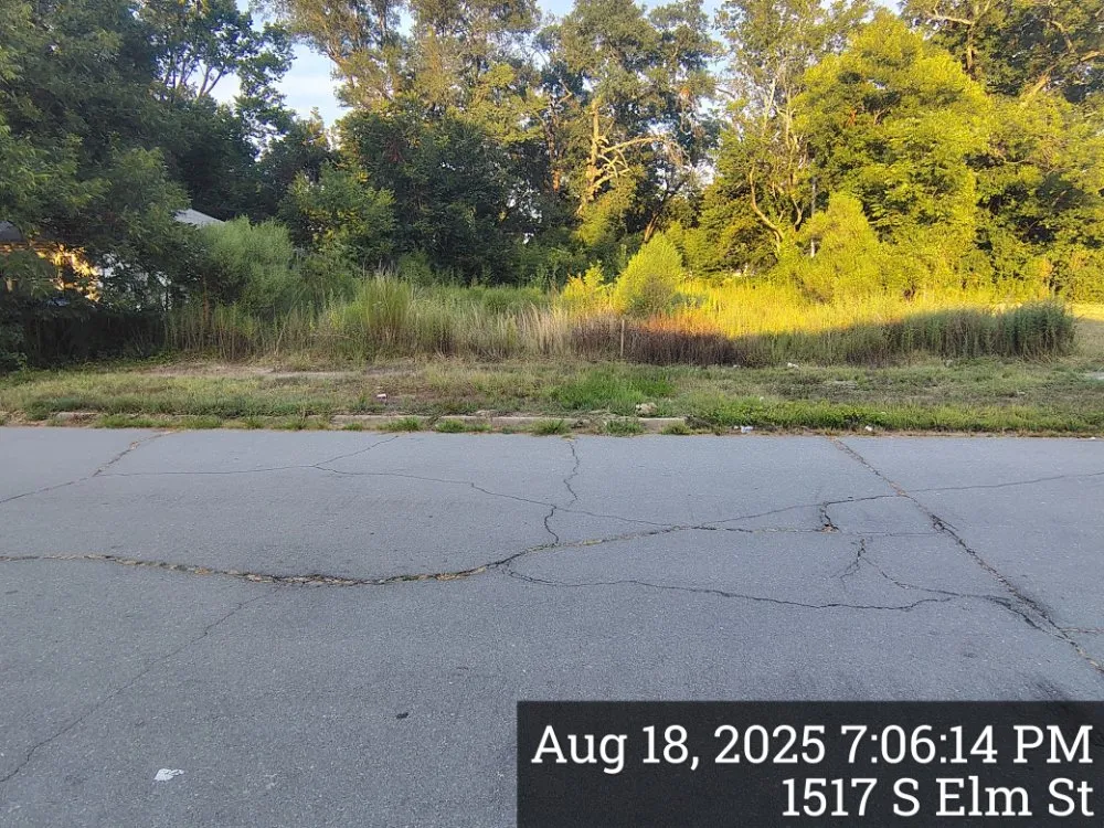 Top-rated yard cleanup service for year-round maintenance in Pine Bluff, AR by Balla Moving & Lawn Indulgence