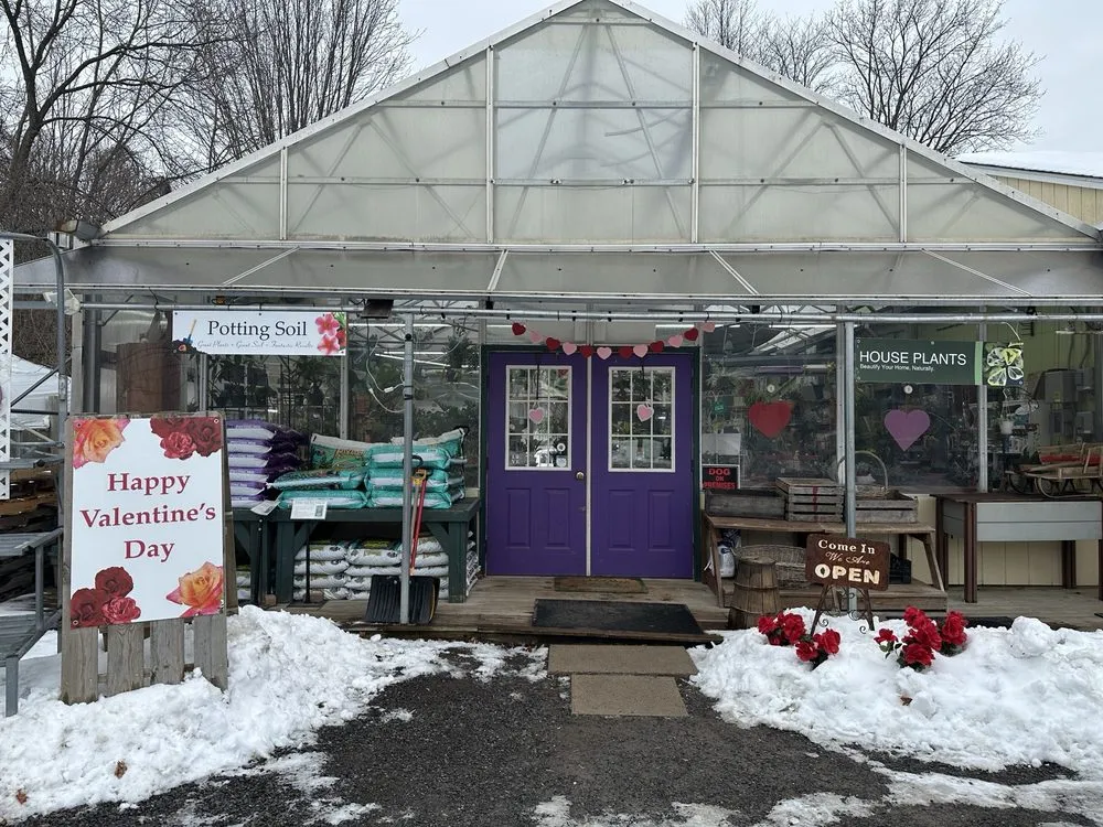 Local yard cleanup service experts serving Liverpool, NY - Ballantyne Gardens