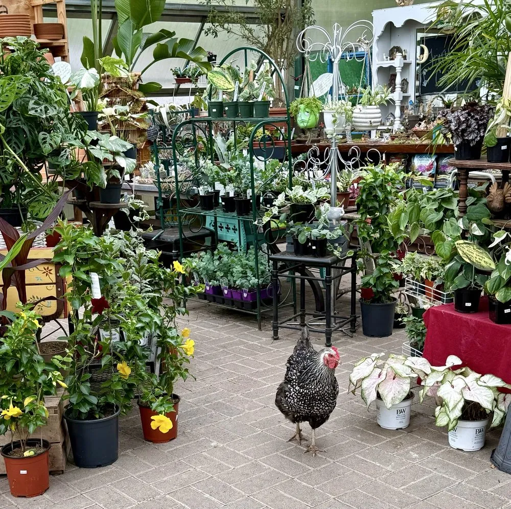 Top-rated outdoor landscaping in Liverpool, NY by Ballantyne Gardens