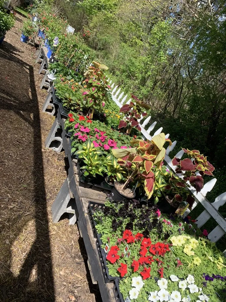 Reliable yard cleanup service in Liverpool, NY - Ballantyne Gardens