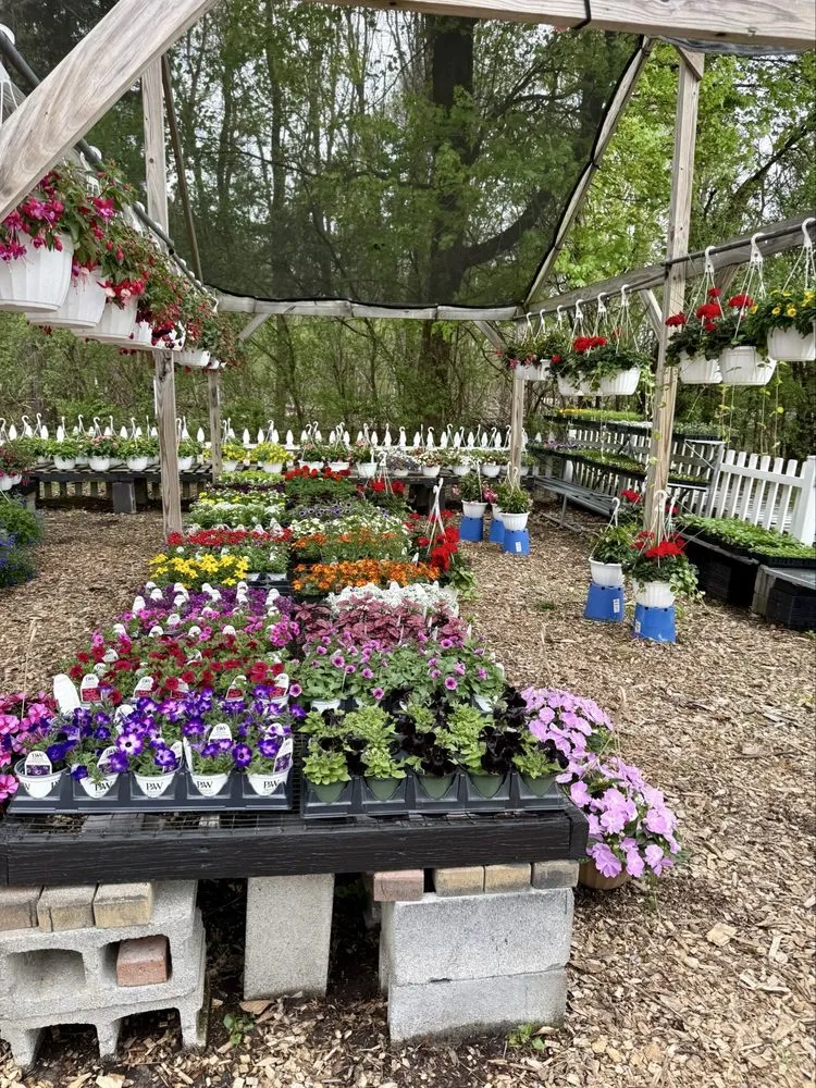 Professional landscape installation for residential properties in Liverpool, NY by Ballantyne Gardens