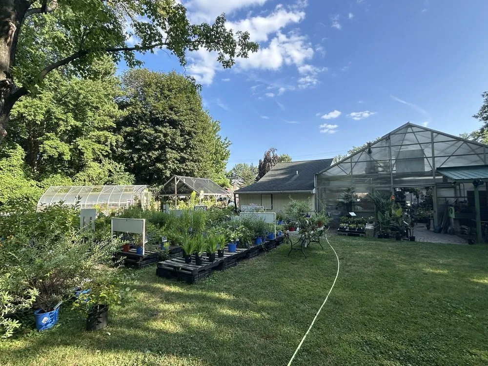 Reliable landscaping services experts serving Liverpool, NY - Ballantyne Gardens