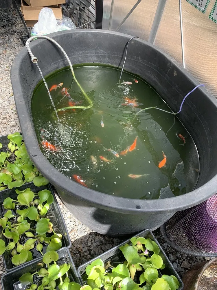 Trusted yard maintenance experts serving Liverpool, NY - Ballantyne Gardens