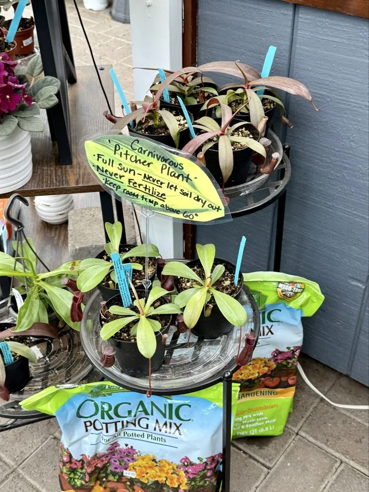 Expert lawn care service with custom design in Liverpool, NY by Ballantyne Gardens