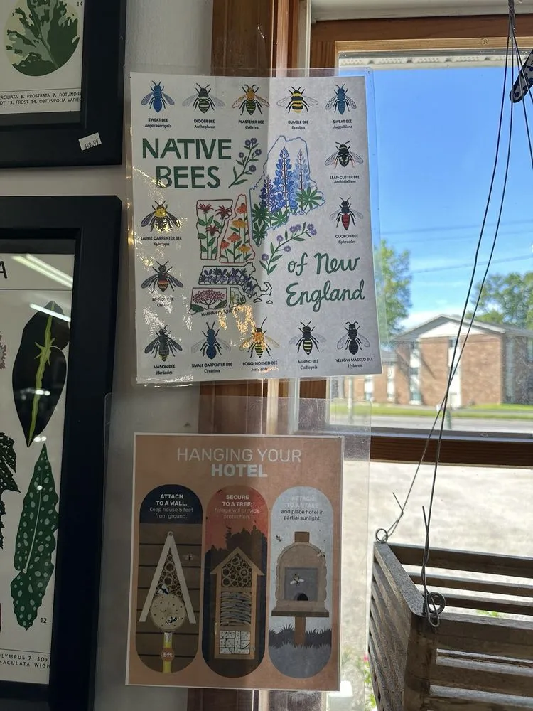 Reliable lawn mowing service for year-round maintenance across Liverpool, NY - Ballantyne Gardens