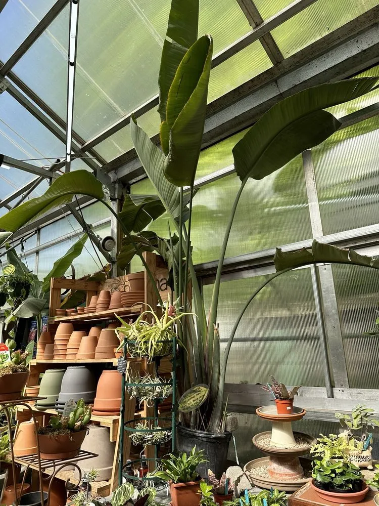 Professional yard maintenance in Liverpool, NY by Ballantyne Gardens