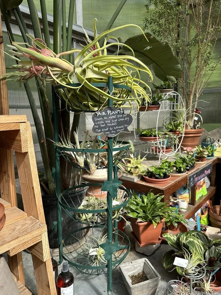 Professional outdoor landscaping in Liverpool, NY - Ballantyne Gardens