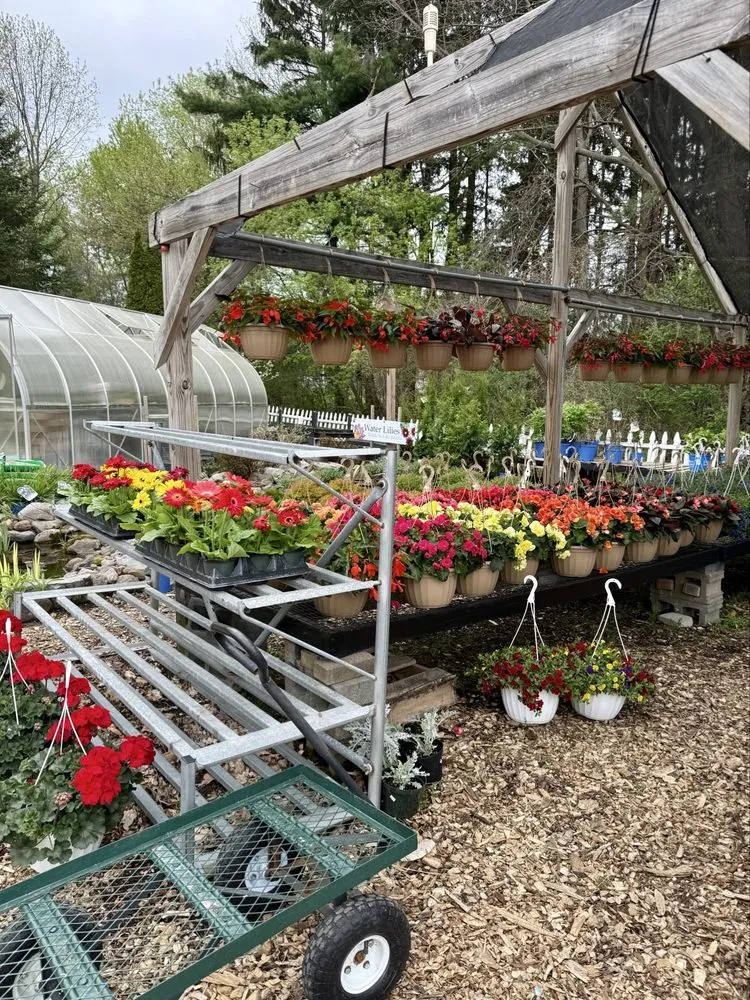 Reliable yard maintenance in Liverpool, NY - Ballantyne Gardens