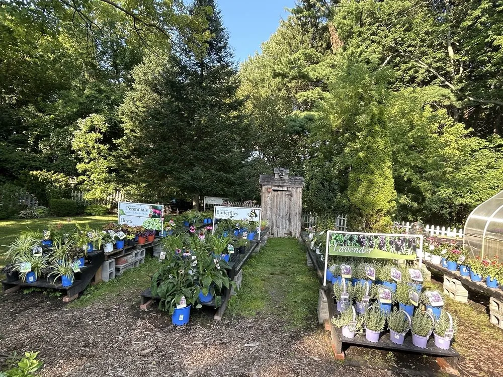 Top-rated outdoor landscaping in Liverpool, NY - Ballantyne Gardens