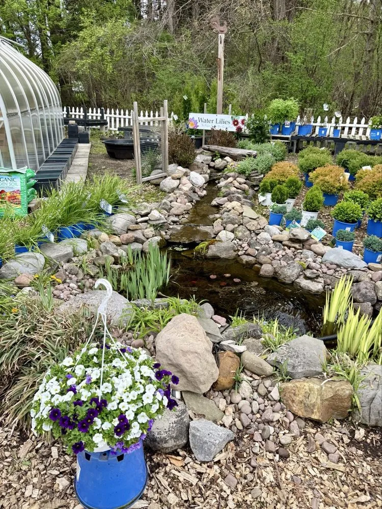 Professional yard maintenance for homes in Liverpool, NY by Ballantyne Gardens