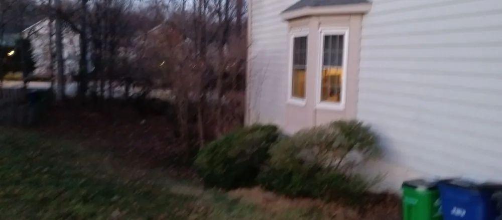 Top-rated yard cleanup service in Crownsville, MD - Ballard Enterprises