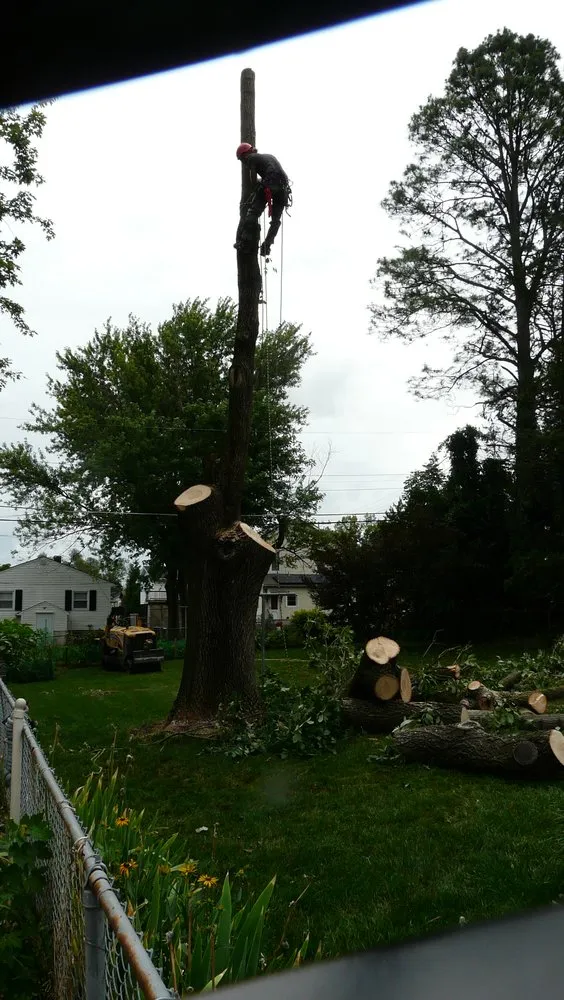 Reliable residential landscaping experts serving Crownsville, MD - Ballard Enterprises