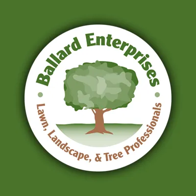Expert yard cleanup service in Crownsville, MD - Ballard Enterprises