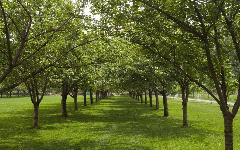 Top-rated yard maintenance in Crownsville, MD by Ballard Enterprises