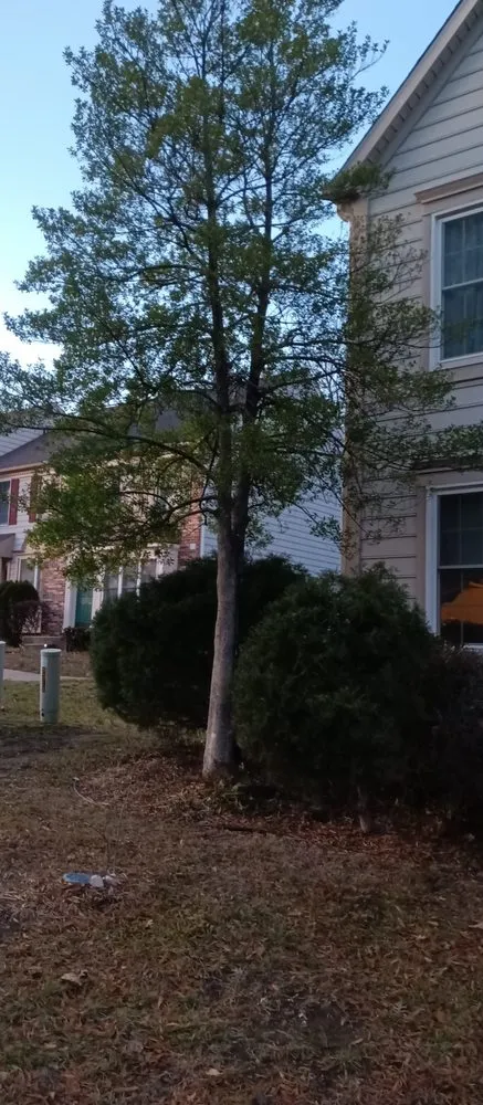 Reliable outdoor landscaping in Crownsville, MD - Ballard Enterprises