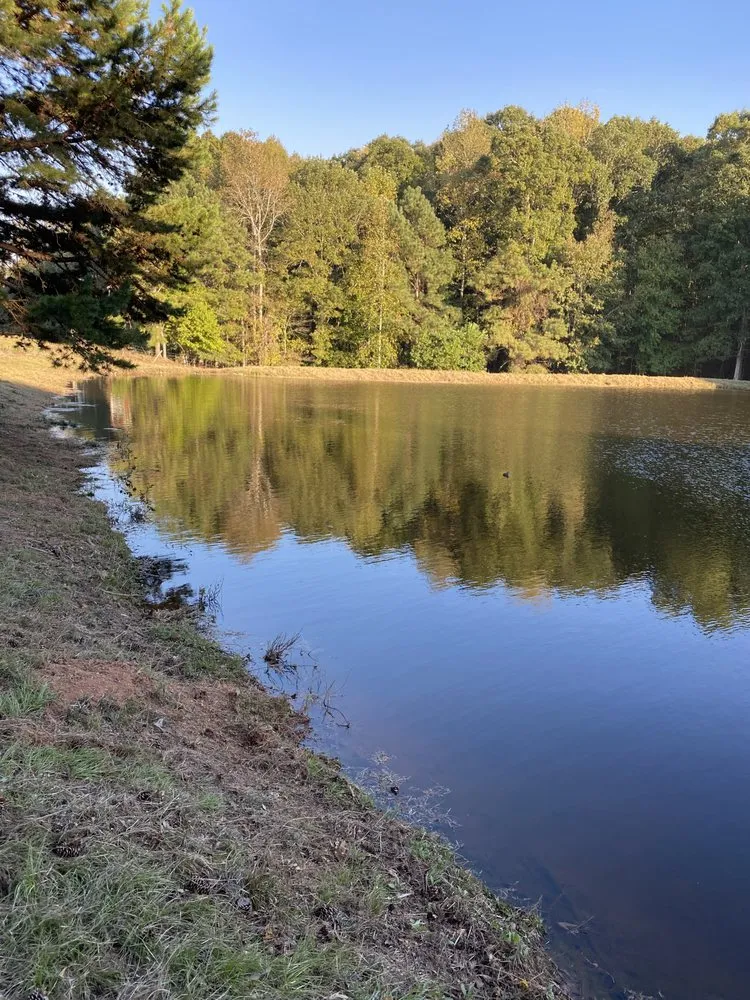 Affordable residential landscaping for outdoor upgrades in Opelika, AL by Ballard Mulching & More