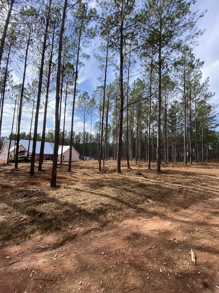 Custom landscape design experts serving Opelika, AL - Ballard Mulching & More