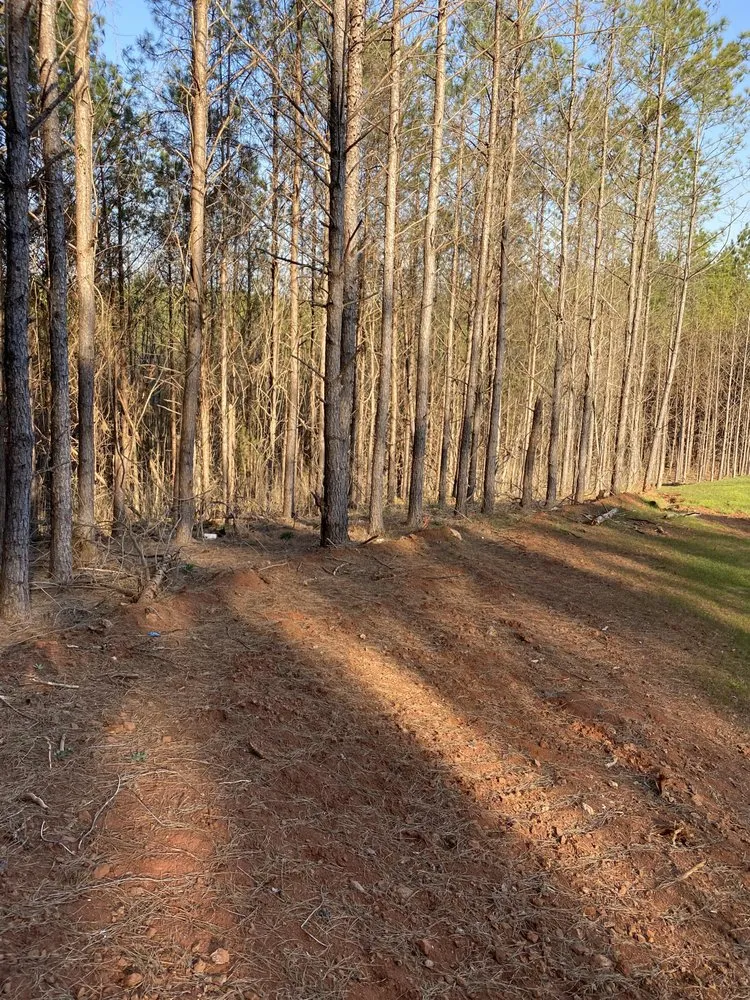 Reliable lawn care service experts serving Opelika, AL - Ballard Mulching & More