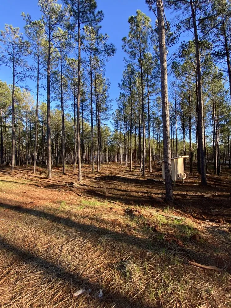 Trusted outdoor landscaping experts serving Opelika, AL - Ballard Mulching & More