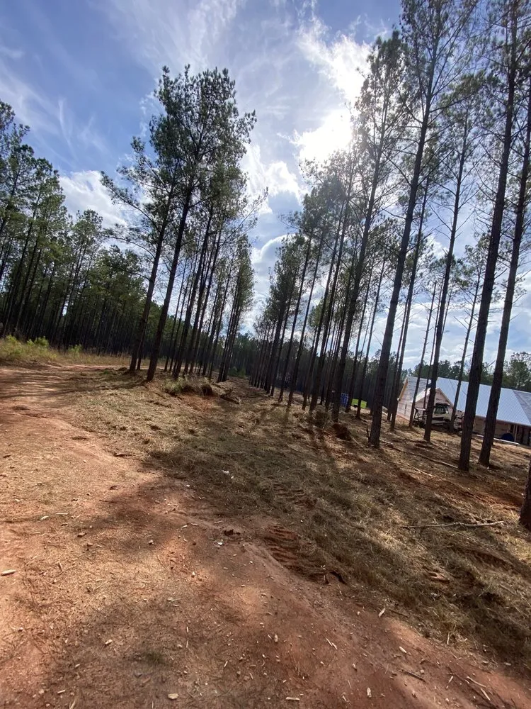 Custom lawn mowing service for outdoor upgrades across Opelika, AL - Ballard Mulching & More