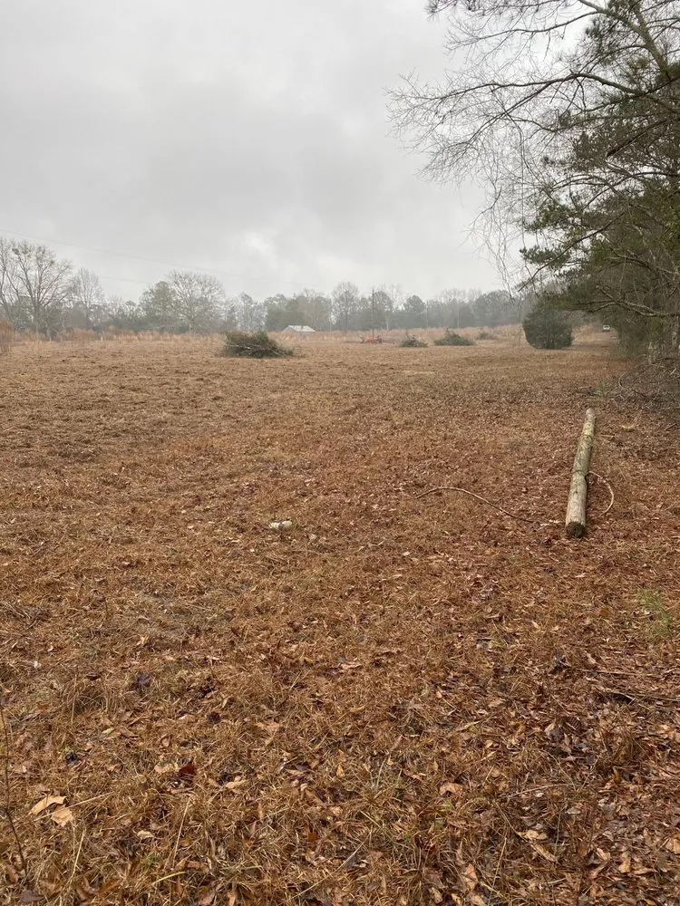 Affordable landscape design in Opelika, AL by Ballard Mulching & More