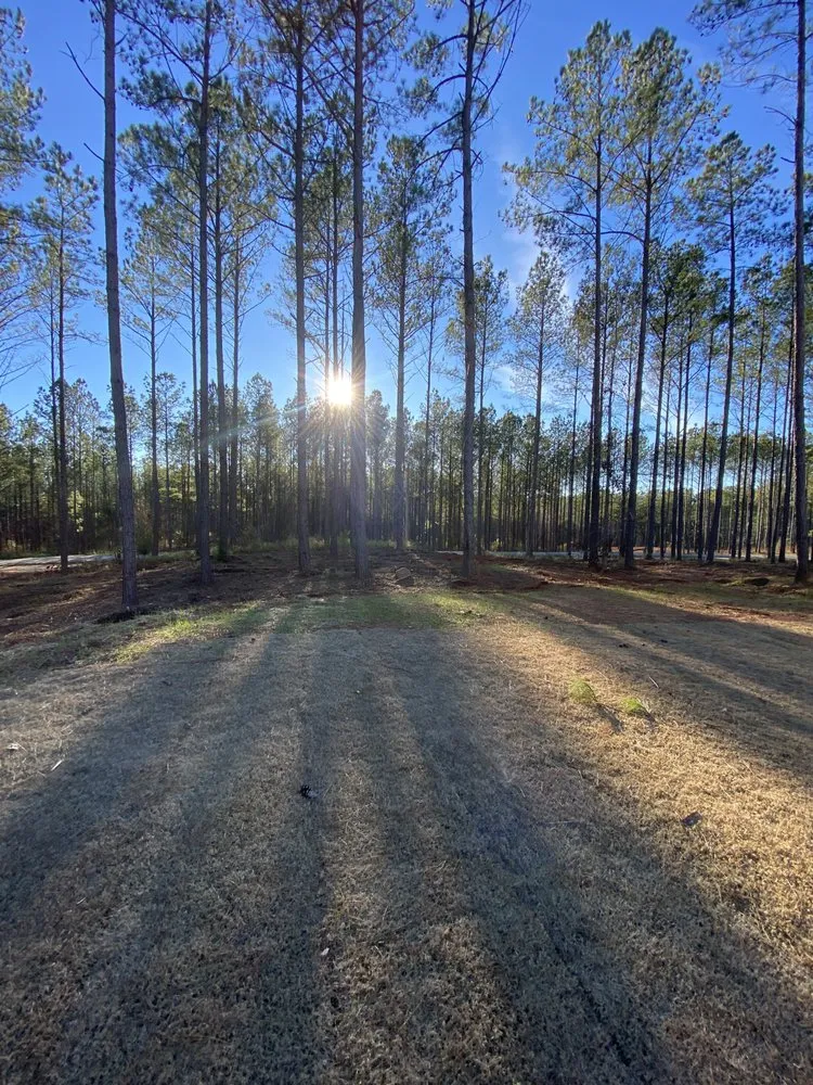 Affordable lawn care service for year-round maintenance in Opelika, AL by Ballard Mulching & More