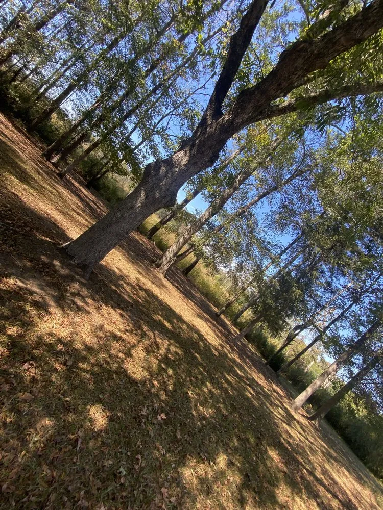 Top-rated landscaping services for residential properties in Opelika, AL by Ballard Mulching & More