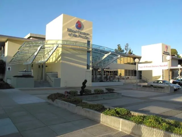 Expert yard maintenance in San Francisco, CA - Ballesteros Landscape Maintenance