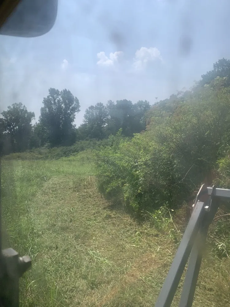 Local yard cleanup service in Union Grove, AL - Ballew Services
